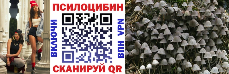 Галлюциногенные грибы Psilocybe  Пересвет 